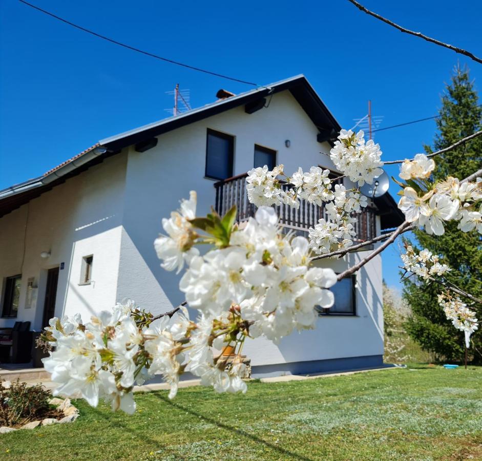 Apartment Charlie Селище Дрезницко Екстериор снимка